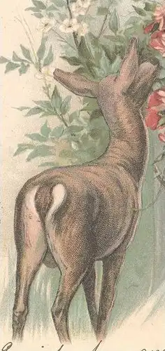 ALTE PRÄGE POSTKARTE REH & FRAU Chevreuil & Femme Cervo & Woman Bonne Année cpa gaufrée gauffrée embossed Ansichtskarte