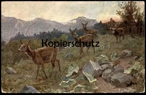 ALTE KÜNSTLER POSTKARTE REHE & HIRSCH SIGN. MATTEI Reh red deer cerf élaphe chevreuil cervo cpa postcard Ansichtskarte