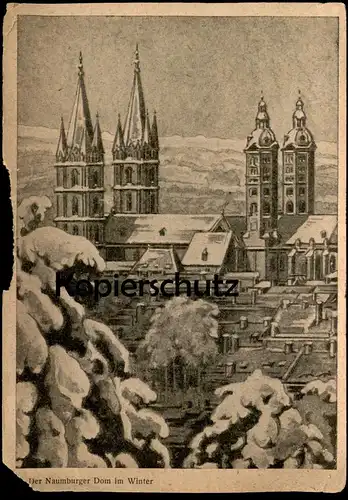 ALTE KÜNSTLER POSTKARTE NAUMBURG NAUMBURGER DOM IM WINTER Ansichtskarte AK postcard cpa