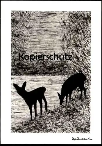 ÄLTERE KÜNSTLER POSTKARTE LINOLSCHNITT REH HIRSCH Rehe Roe fallow deer daim chevreuil cerf Schwarz Linol Ansichtskarte