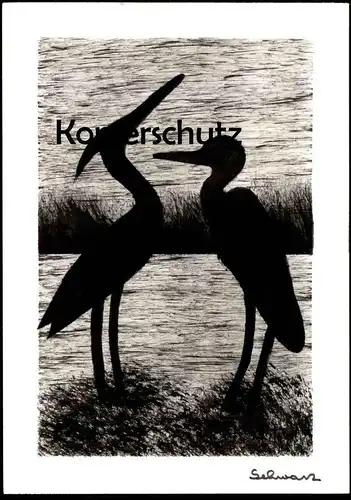 ÄLTERE KÜNSTLER POSTKARTE VÖGEL VOGEL FISCHREIHER REIHER SCHWARZ LINOLSCHNITT Linol heron AK Ansichtskarte postcard cpa