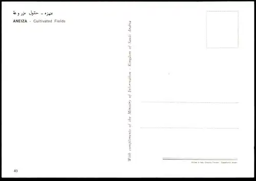 ÄLTERE POSTKARTE ANEIZA CULTIVATED FIELDS Felder Landwirtschaft Saudi Arabia Saudi Arabien postcard cpa AK Ansichtskarte