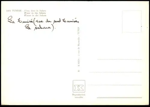 ZWEI ÄLTERE POSTKARTE TUNISIE TUNESIEN BERGERE L'EAU DANS LE SAHARA Tracht traditional costume postcard cpa AK