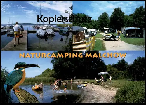 POSTKARTE NATURCAMPING CAMPING EISVOGEL PLAUER SEE Zelt Caravan kingfisher martin-pecheur Ansichtskarte AK cpa postcard