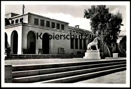 ÄLTERE POSTKARTE DAMAS LE MUSÉE DAMASCUS THE MUSEUM Syrie Syria Syrien Löwe lion cpa postcard AK Ansichtskarte