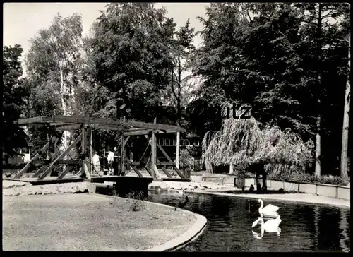 ÄLTERE POSTKARTE TIERPARK UECKERMÜNDE NACHBILDUNG DER ALTEN UECKERMÜNDER BRÜCKE cpa Ansichtskarte postcard AK