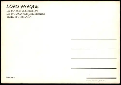 ÄLTERE POSTKARTE LORO PARQUE TENERIFE DELFINARIO DELPHIN-SHOW Delfine Delfin Dolphin Dauphin Tierpark Zoo Teneriffa man