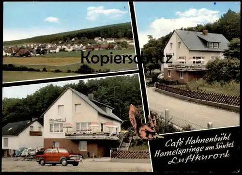 ÄLTERE POSTKARTE HAMELSPRINGE AM SÜNTEL CAFÉ HAHNENBÜHL BAD MÜNDER AM DEISTER Eichhörnchen Ansichtskarte AK cpa postcard