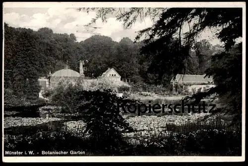 ALTE POSTKARTE MÜNSTER WESTFALEN BOTANISCHER GARTEN botanical garden Ansichtskarte AK postcard cpa