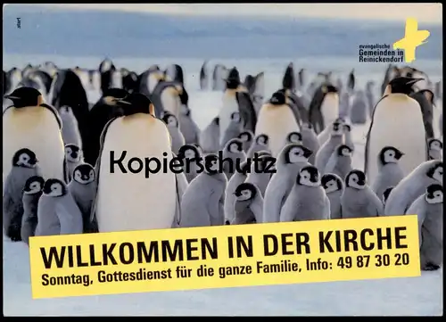 ÄLTERE POSTKARTE PINGUINE PINGUIN WILLKOMMEN IN DER KIRCHE BERLIN REINICKENDORF EDGAR penguin manchot postcard cpa AK