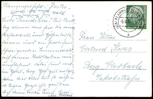 ALTE POSTKARTE LUFTKURORT FLAMMERSFELD RHEINSTRASSE VW KÄFER Volkswagen Brezelkäfer Ansichtskarte cpa AK postcard
