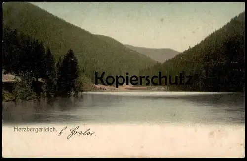 ALTE POSTKARTE GOSLAR HERZBERGERTEICH 1909 HERZBERGER TEICH cpa postcard AK Ansichtskarte