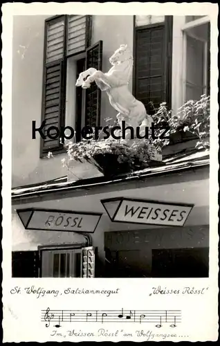 ALTE POSTKARTE ST. WOLFGANG SALZKAMMERGUT WEISSES RÖSSL WOLFGANGSEE PFERD SCHIMMEL horse cheval cpa AK Ansichtskarten