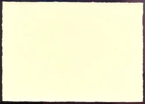 DAS GETEILTE DEUTSCHLAND ALTE KOMPLETTE SERIE POSTKARTE THORN BRESLAU NIKOLAIKEN KYNSBURG STETTIN LEITMERITZ KÖNIGSBERG