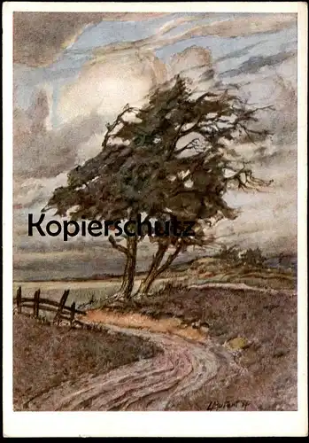 ALTE KÜNSTLER POSTKARTE LANDSCHAFT FELDWEG MÜNSTERLAND LUDWIG MUTERT MALER KUNSTVERLAG BISCHOF & KLEIN Ansichtskarte AK