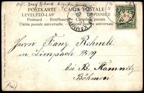 ALTE KÜNSTLER POSTKARTE SERIE HAAR- UND FEDERWILD MÜLLER JUN. MÜNCHEN 1901 AUERHAHN JAGD grouse AK postcard cpa