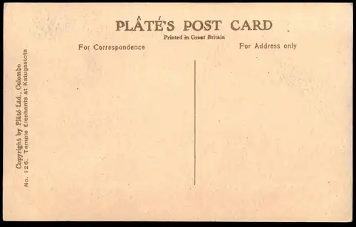 ALTE POSTKARTE TEMPLE ELEPHANTS AT KATUGASTOTA RIVER CEYLON ELEFANT ELEPHANT TUSKER STOSSZAHN Ansichtskarte postcard cpa