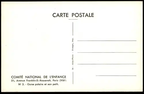 ÄLTERE POSTKARTE OURSE POLAIRE ET SON PETIT EISBÄR Bär blanc ice polar bear Comité National de l'enfance postcard cpa AK