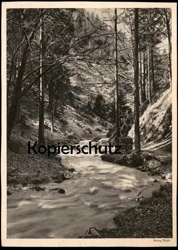 ALTE POSTKARTE LANDSCHAFT BACH FLUSS WALD TAL EMMY THIELE LANDSCHAFTSSTUDIE Fotografie Photographie photography postcard