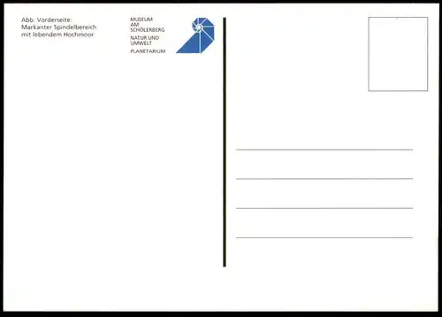 ÄLTERE POSTKARTE OSNABRÜCK MARKANTER SPINDELBEREICH HOCHMOOR PLANETARIUM MUSEUM SCHÖLERBERG Ansichtskarte cpa postcard
