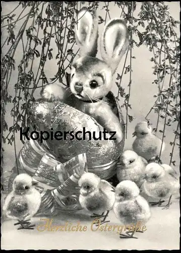 ALTE POSTKARTE HERZLICHE OSTERGRÜSSE KÜKEN OSTERHASE Ostern Easter poussin chick Schwarz-weiss Foto Photo cpa postcard