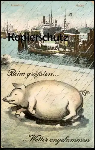 ALTE POSTKARTE HAMBURG BEIM GRÖSSTEN SAUWETTER ANGEKOMMEN HAFEN SCHWEIN REGEN rain weather pig cochon Wetter cpa AK