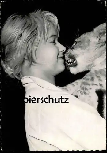 ALTE POSTKARTE MARION MICHAEL FILM-SCHAUSPIELERIN MIT TIGER TIGERBABY actress acteur actrice Foto Schmidt postcard