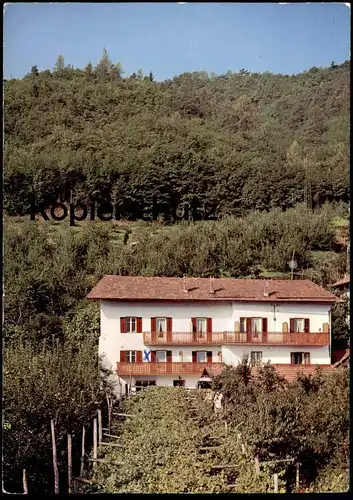 ÄLTERE POSTKARTE LANA BEI MERAN SCHRENTEWEINHOF INMITTEN VON OBST- UND WEINKULTUREN Ansichtskarte AK cpa postcard