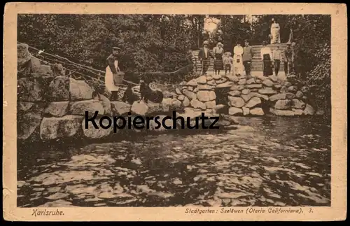 ALTE POSTKARTE KARLSRUHE STADTGARTEN SEELÖWEN OTARIA DELLA CALIFORNIA ZUSCHAUER FÜTTERUNG ZOO Ansichtskarte postcard cpa