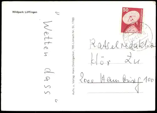 ÄLTERE POSTKARTE WILDPARK LÖFFINGEN SCHWARZWALD HIRSCH Bär ours bear roe deer cerf Tierpark Ansichtskarte postcard AK