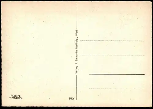 ALTE POSTKARTE WERL IN WESTFALEN PANORAMA Ansichtskarte postcard cpa AK