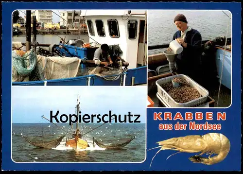 ÄLTERE POSTKARTE KRABBEN AUS DER NORDSEE KRABBENKUTTER SCHIFF KUTTER bateau crabes crabs ship postcard cpa Ansichtskarte