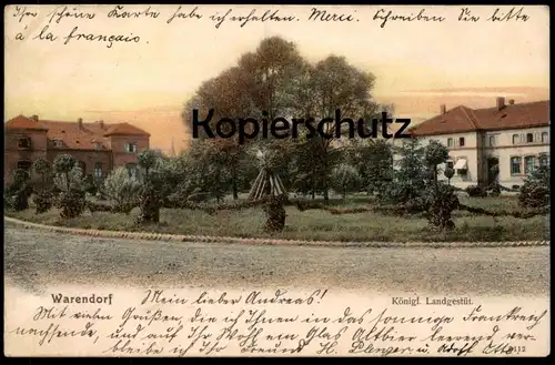 ALTE POSTKARTE WARENDORF KÖNIGLICHES LANDGESTÜT 1904 Ansichtskarte AK cpa postcard