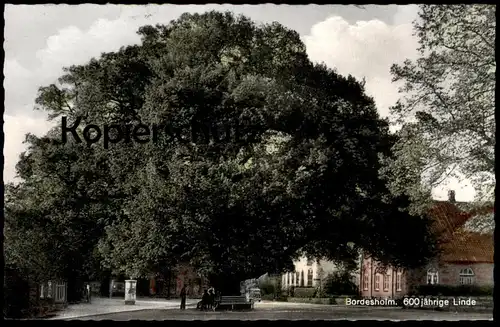 ÄLTERE POSTKARTE BORDESHOLM 600 JÄHRIGE LINDE BAUM TREE ARBRE Tilleul Lime Naturdenkmal Ansichtskarte cpa postcard AK