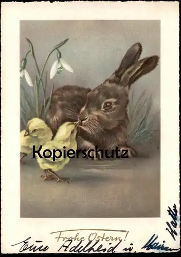 ÄLTERE POSTKARTE FROHE OSTERN HASE KÜKEN OSTERHASE easter hare rabbit lièvre paques buck chick Ansichtskarte AK postcard