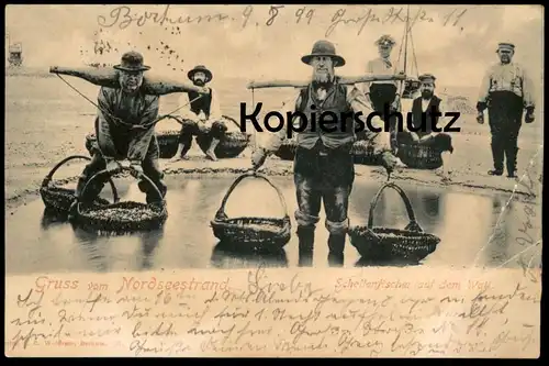 ALTE POSTKARTE GRUSS VOM NORDSEESTRAND SCHOLLENFISCHER AUF DEM WATT BORKUM 1899 Fischer Ansichtskarte AK cpa postcard