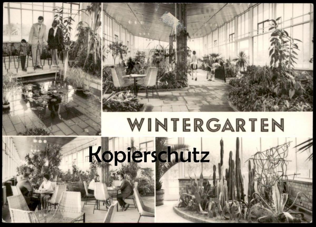 ÄLTERE POSTKARTE FRANKFURT ODER WINTERGARTEN HO GASTSTÄTTE AM ALTEN