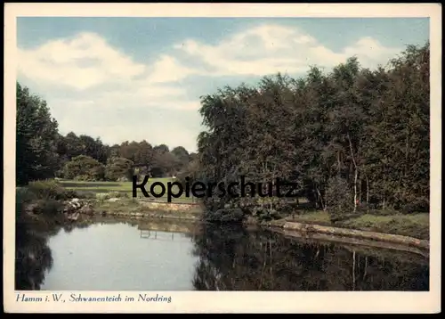 ALTE POSTKARTE HAMM IN WESTFALEN SCHWANENTEICH IM NORDRING Teich See Ansichtskarte AK postcard cpa