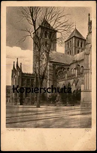 ÄLTERE POSTKARTE MÜNSTER IN WESTFALEN DOM Kirche church église Ansichtskarte cpa postcard AK