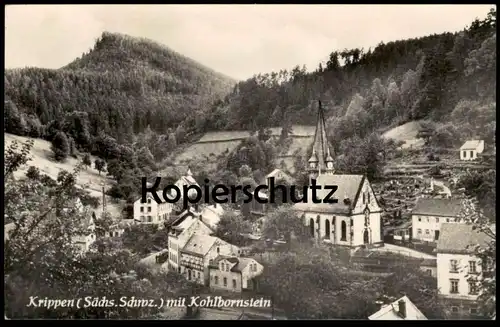 ALTE POSTKARTE KRIPPEN MIT KOHLBORNSTEIN BAD SCHANDAU SÄCHSISCHE SCHWEIZ PANORAMA Ansichtskarte AK cpa postcard