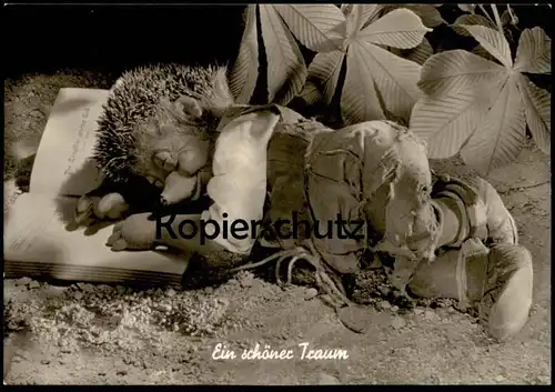 ÄLTERE POSTKARTE MECKI EIN SCHÖNER TRAUM SCHLAFEN IGEL fall asleep sleeping dreaming dream AK Ansichtskarte cpa postcard