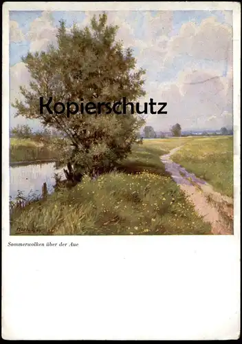 ÄLTERE KÜNSTLER POSTKARTE SOMMERWOLKEN ÜBER DER AUE NATUR FLUSS WANDERWEG W. HARTWIG LÜTZSCHENA postcard Ansichtskarte