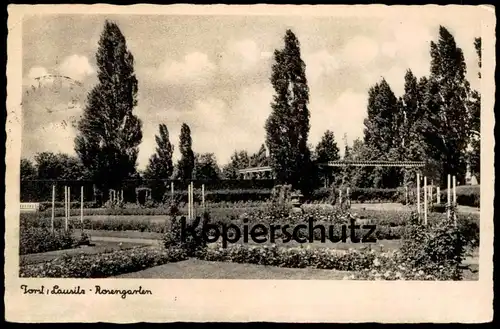 ALTE POSTKARTE FORST LAUSITZ ROSENGARTEN 1944 GARTEN Park parc Ansichtskarte AK postcard AK