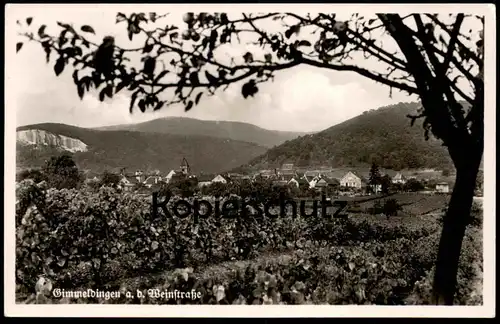 ALTE POSTKARTE GIMMELDINGEN AN DER WEINSTRASSE PARNORAMA TOTALANSICHT Ansichtskarte cpa postcard AK