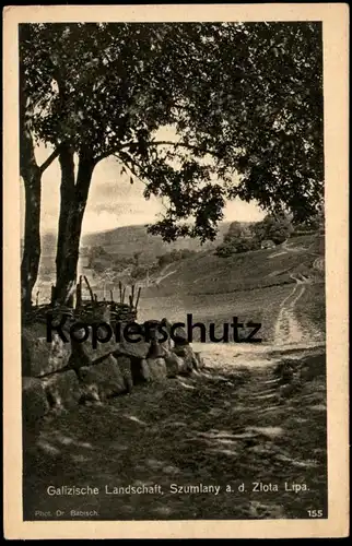 ALTE POSTKARTE SZUMLANY A. D. ZLOTA LIPA GALIZISCHE LANDSCHAFT UKRAINA Ukraine postcard Ansichtskarte cpa AK