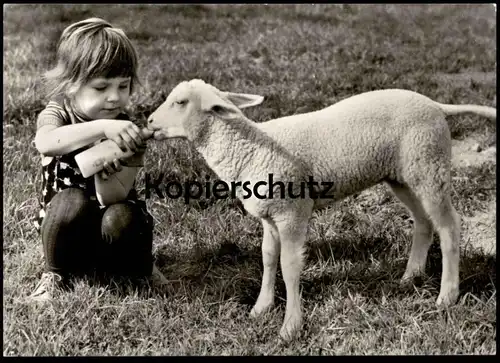 ÄLTERE POSTKARTE MÄDCHEN KIND FÜTTERT MIT FLASCHE EIN LAMM SCHAF PLANET VERLAG BERLIN sheep lamb Ansichtskarte AK