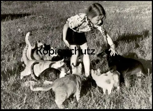 ÄLTERE POSTKARTE MÄDCHEN MIT HUND & KATZEN KIND child enfant Katze cat chat cats dog chien Ansichtskarte cpa postcard