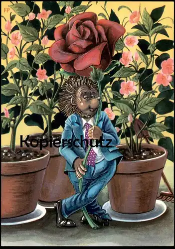 ÄLTERE POSTKARTE MECKI ROTE ROSE IGEL DDR PLANET VERLAG Blume hedgehog Ansichtskarte AK postcard cpa