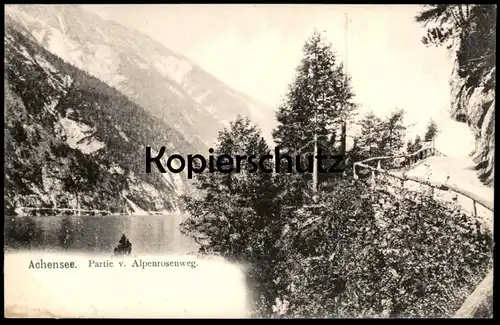 ALTE POSTKARTE ACHENSEE PARTIE VOM ALPENROSENWEG TIROL Österreich Austria Autriche Ansichtskarte AK cpa postcard