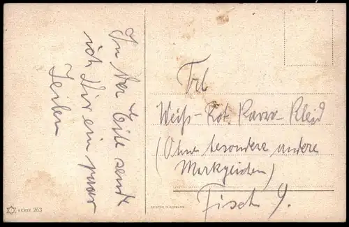 ALTE POSTKARTE PFAU HENNE ALFRED SCHÖNIAN Verehrer Tischpost Liebesbrief Tisch 9 peacock paon Ansichtskarte cpa postcard